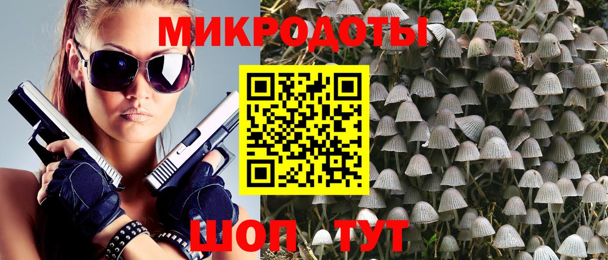 Галлюциногенные грибы мухоморы Петрозаводск
