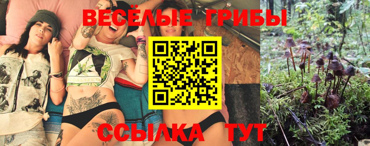 Псилоцибиновые грибы Psilocybine cubensis  Псилоцибиновые грибы GOLDEN TEACHER  Петрозаводск  Вход с VPN 